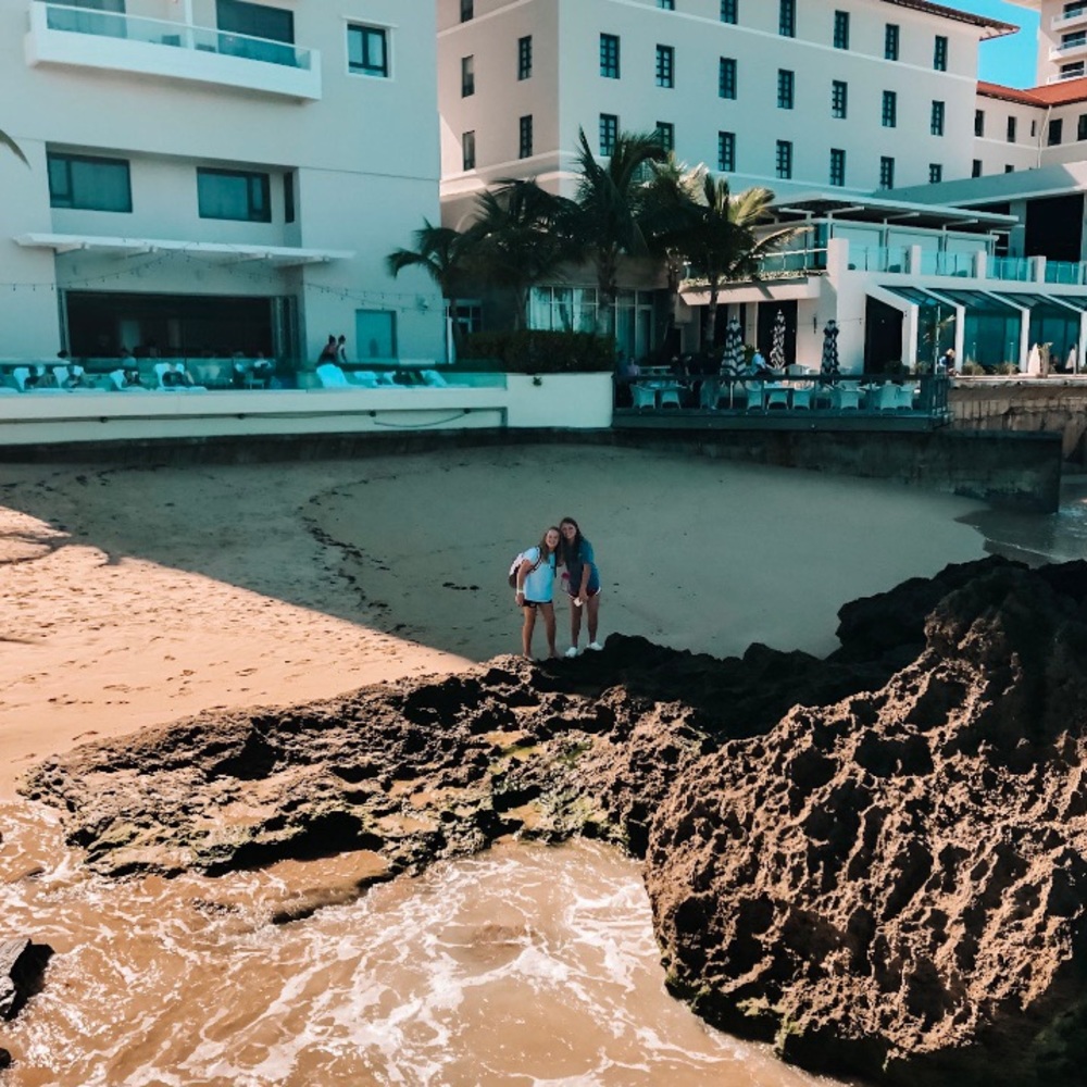 Meet your Posher, Sophie